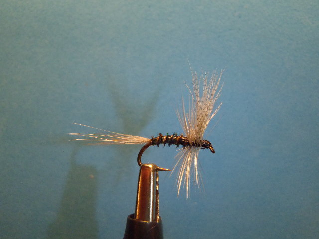 flies tied 134.jpg